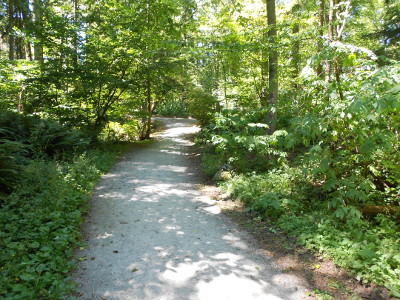 Photo of trail through forest at Northacres Park