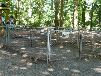 Photo of off-leash dog area at Northacres Park